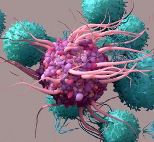 Image showing 3D illustration of dendritic cells