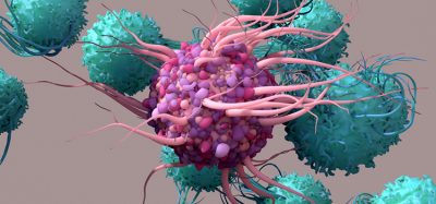 Image showing 3D illustration of dendritic cells