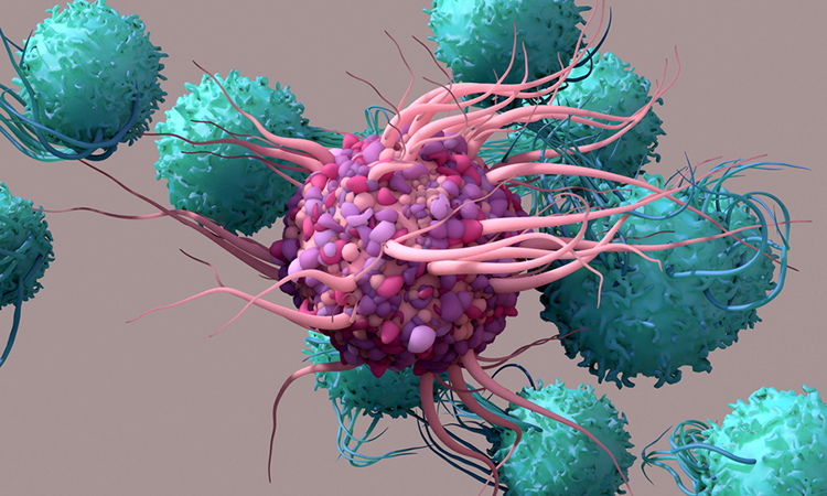 Image showing 3D illustration of dendritic cells