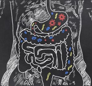 Digestive tract drawn on a chalk board in white with various colours and shapes of microbes