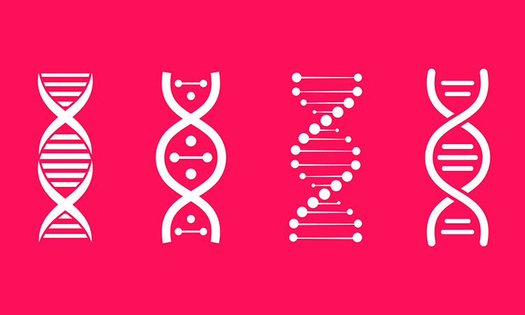 Set of DNA icons. Life gene model bio code genetics molecule medical symbols. Structure molecule, chromosome icon. Pictogram of Dna vector, genetic sign, elements and icons collection.