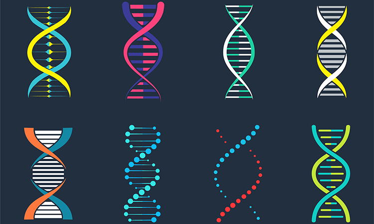 DNA, genetic sign, elements and icons collection. Pictogram of DNA Symbol Isolated. Dna vector.