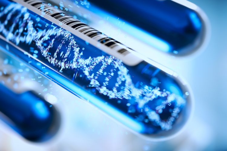 DNA and cancer treatment in tube