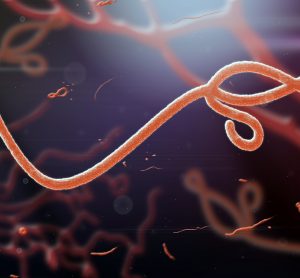 Ebola virus 3D rendering