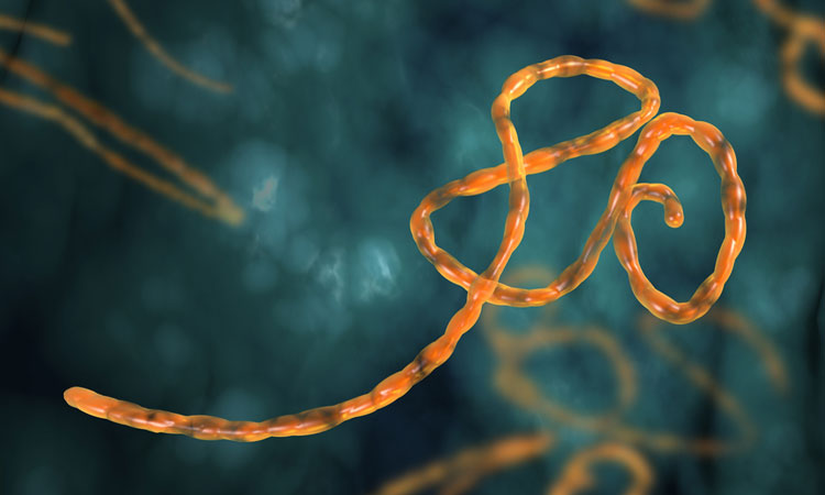 Ebola