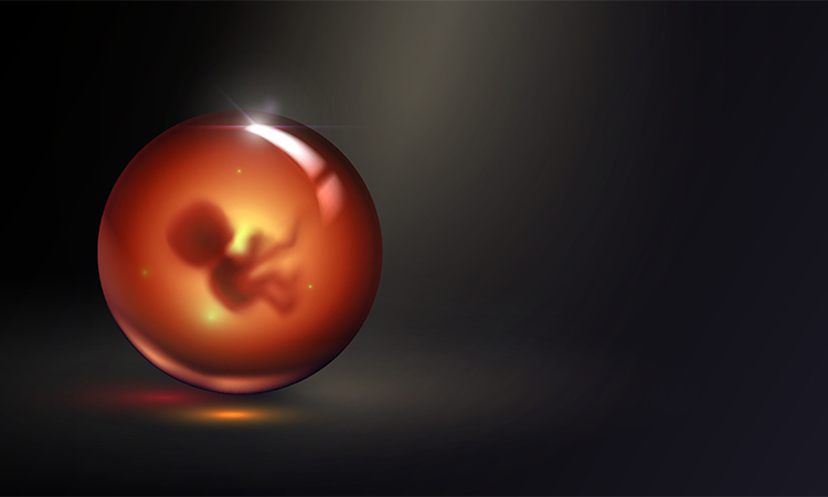 Human embryo in glass ball, pregnancy and obstetrics concept