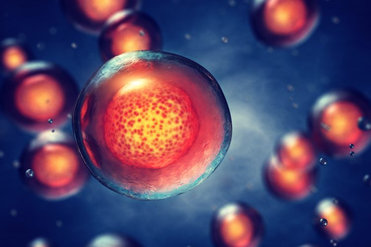 artist impression of stem cells