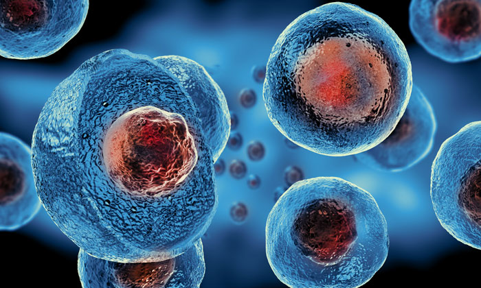 Scientists generate an atlas of the human genome using stem cells