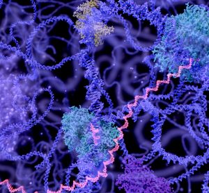enzyme