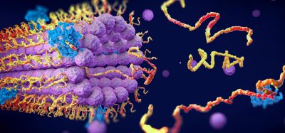 Protein enzymes fold into their structure to fulfill their function - 3d illustration
