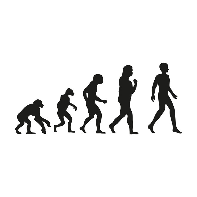 evolution