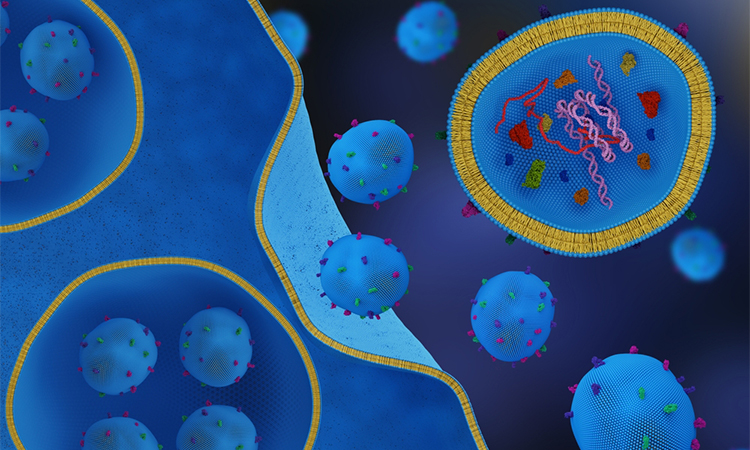3d illustration of a cell secreting exosomes