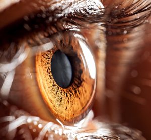brown eye up close