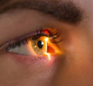 retinal angiogenesis