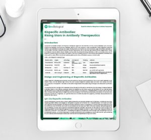 Article: Bispecific antibodies: Rising stars in antibody therapeutics