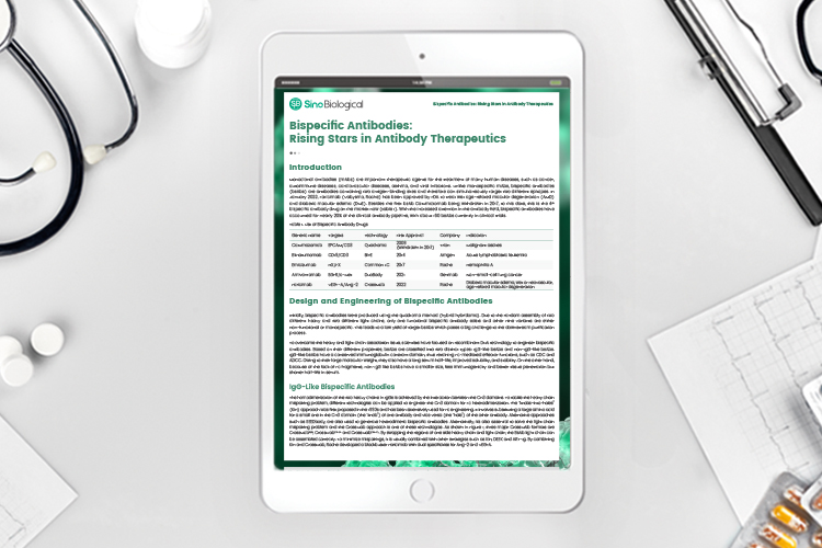 Article: Bispecific antibodies: Rising stars in antibody therapeutics