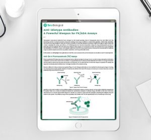 Whitepaper: In-depth look into anti-idiotype antibodies