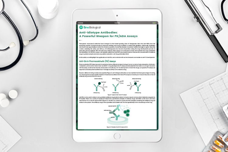 Whitepaper: In-depth look into anti-idiotype antibodies