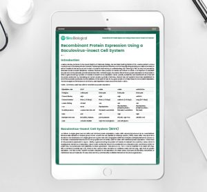 Whitepaper: Recombinant protein expression using a BEVS