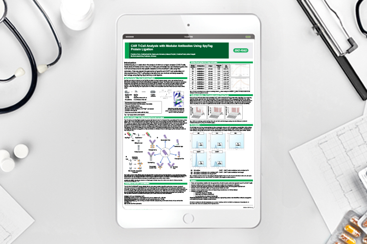 Whitepaper: CAR T-Cell analysis with modular antibodies using SpyTag protein ligation