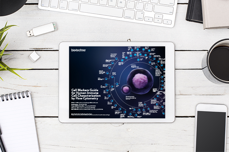 Interactive poster: Cell markers guide for human immune cell characterisation by flow cytometry