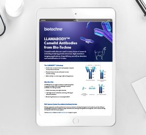 Application note: LlaMAbody™ camelid antibodies flyer