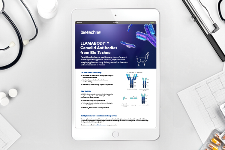 Application note: LlaMAbody™ camelid antibodies flyer