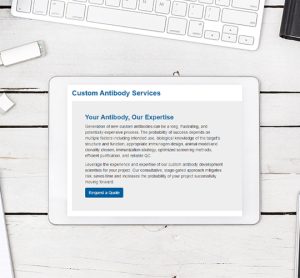 Application note: Antibody custom services