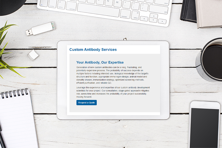 Application note: Antibody custom services