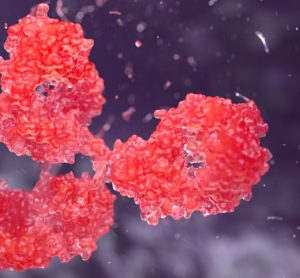 feature-image-antibody