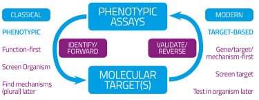 Figure 1B screening