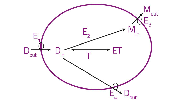 Figure 2 screening