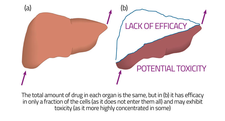 Figure 3 screening