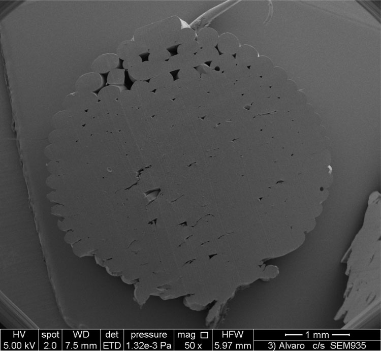 Figure 1: Cross-section of a printed dosage form, showing the individual polymer strands that adhere to form the final object