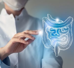 Female doctor holding virtual Intestine in hand. Handrawn human organ, blurred photo, raw photo colors. Healthcare hospital service concept stock photo