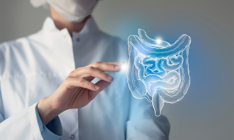 Female doctor holding virtual Intestine in hand. Handrawn human organ, blurred photo, raw photo colors. Healthcare hospital service concept stock photo