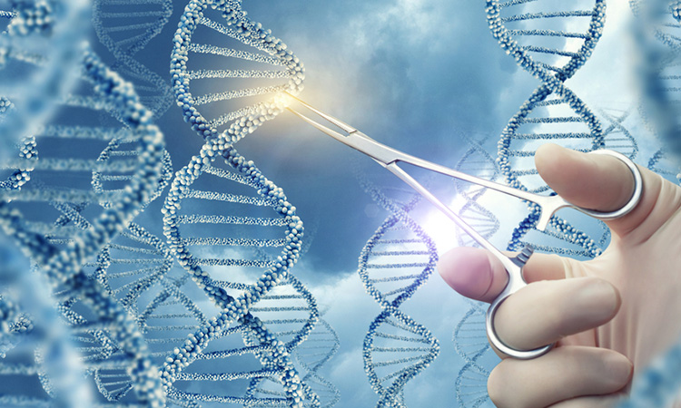Image showing Doctor cutting DNA strand