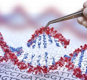 section of DNA being removed/added - idea of gene editing or gene therapy
