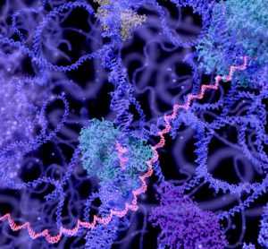 gene expression