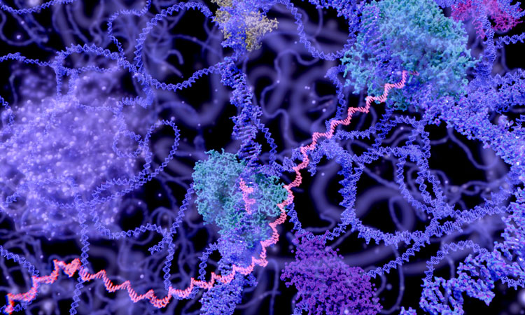 gene expression