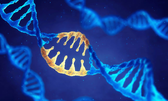 cardiometabolic disease gene mutation