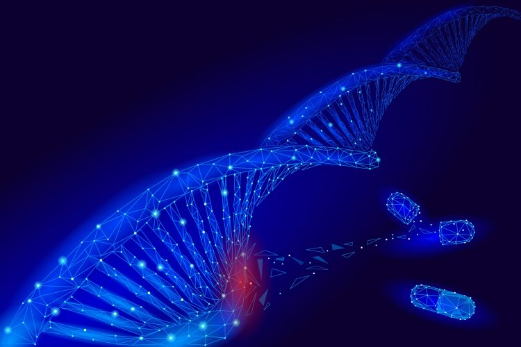 section of DNA molecule highlighted in red with pills next to it