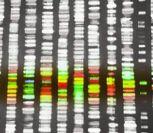 Scientists home in on microRNA processing for novel cancer therapies