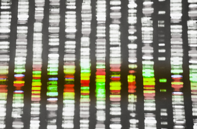 Scientists home in on microRNA processing for novel cancer therapies