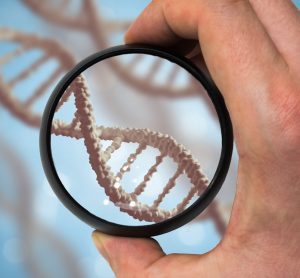 hand holding a black rimmed magnifying glass over a DNA strand - idea of genetic research