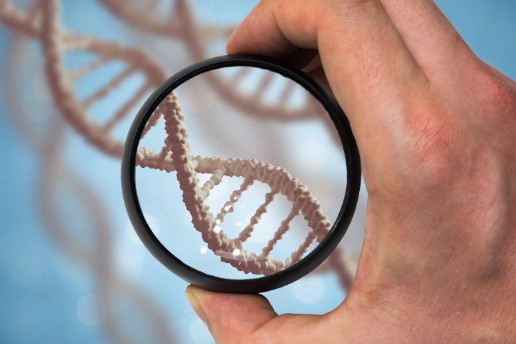 hand holding a black rimmed magnifying glass over a DNA strand - idea of genetic research