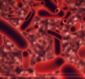 Genetically engineered bacteria