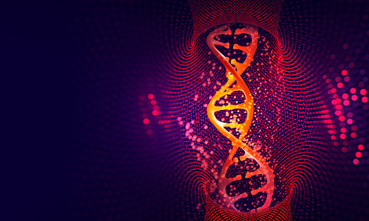 3D illustration analysis of structure genome