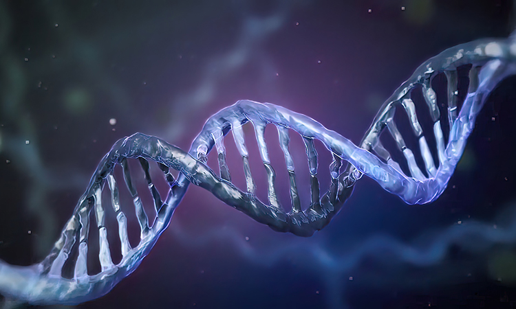 An abnormal amount of degradation of bacterial chromosomal DNA occurs both spontaneously and following exposure to ionizing or ultraviolet (UV) radiation. 3D illustration