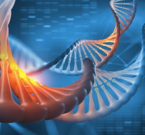 genome